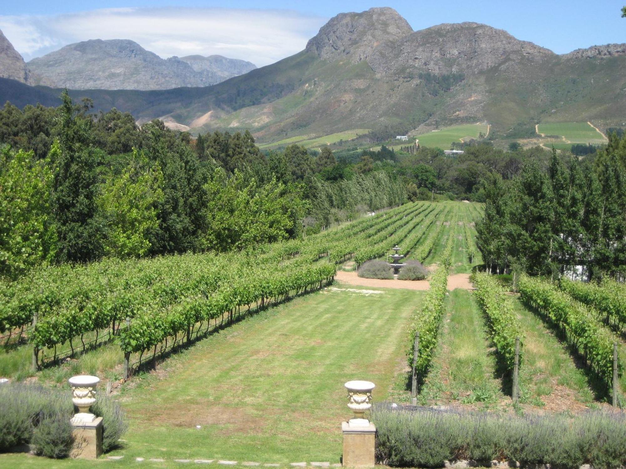 Franschhoek Rose Cottages Esterno foto