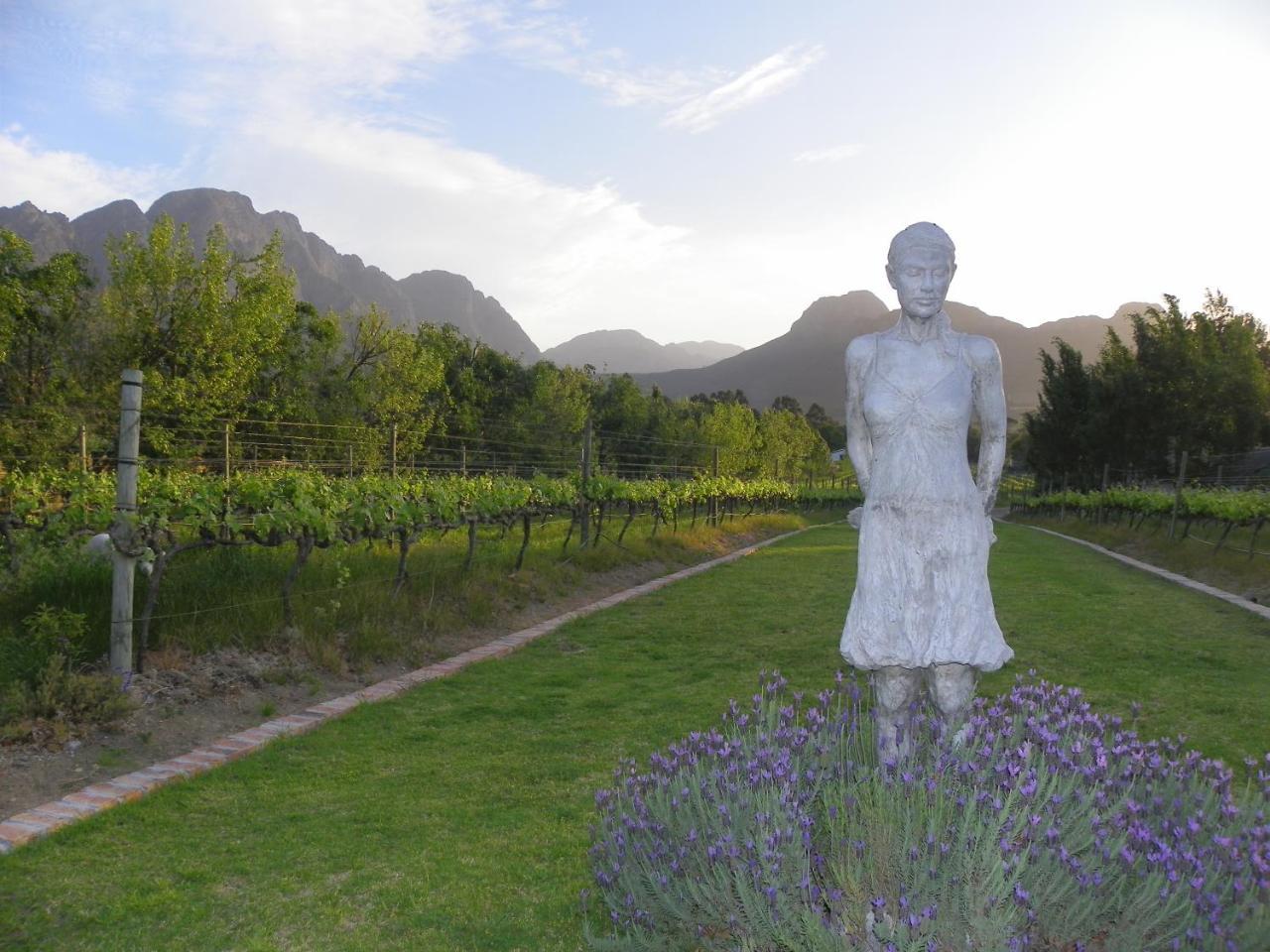 Franschhoek Rose Cottages Esterno foto