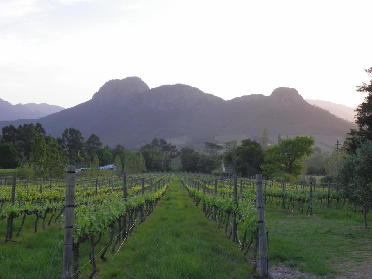 Franschhoek Rose Cottages Esterno foto